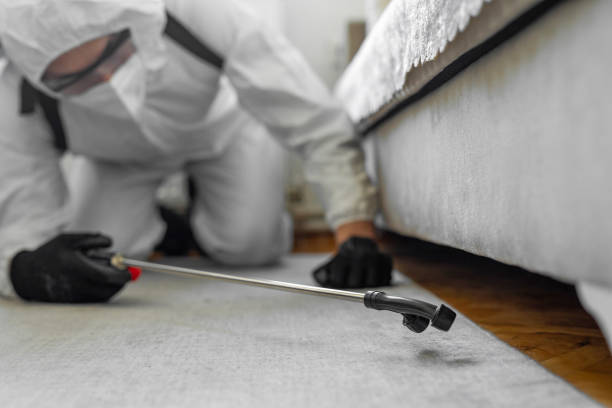 Professional Bed Bug Control technician working in Audubon Park, NJ