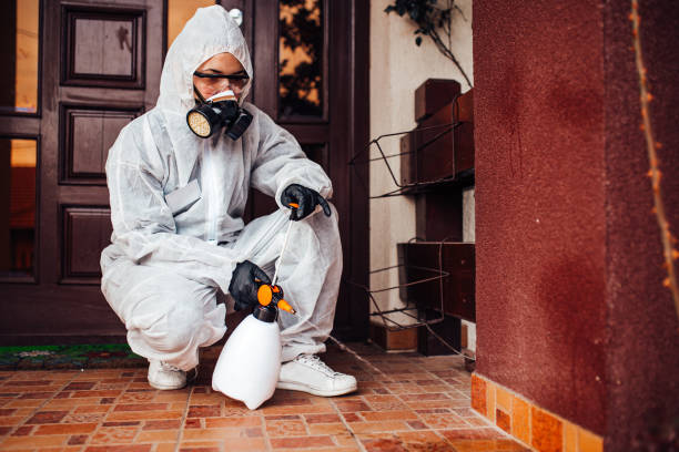 Reliable Bed Bug Control contractor in Audubon Park, NJ by Nex Pest Control